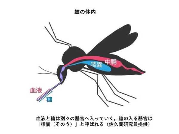 記事サムネイル