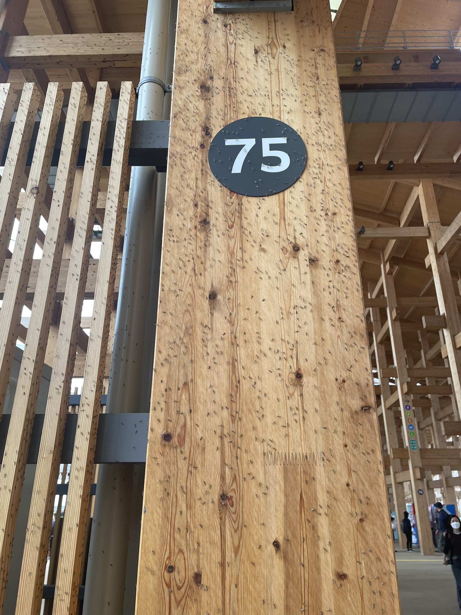 レス1番のサムネイル画像