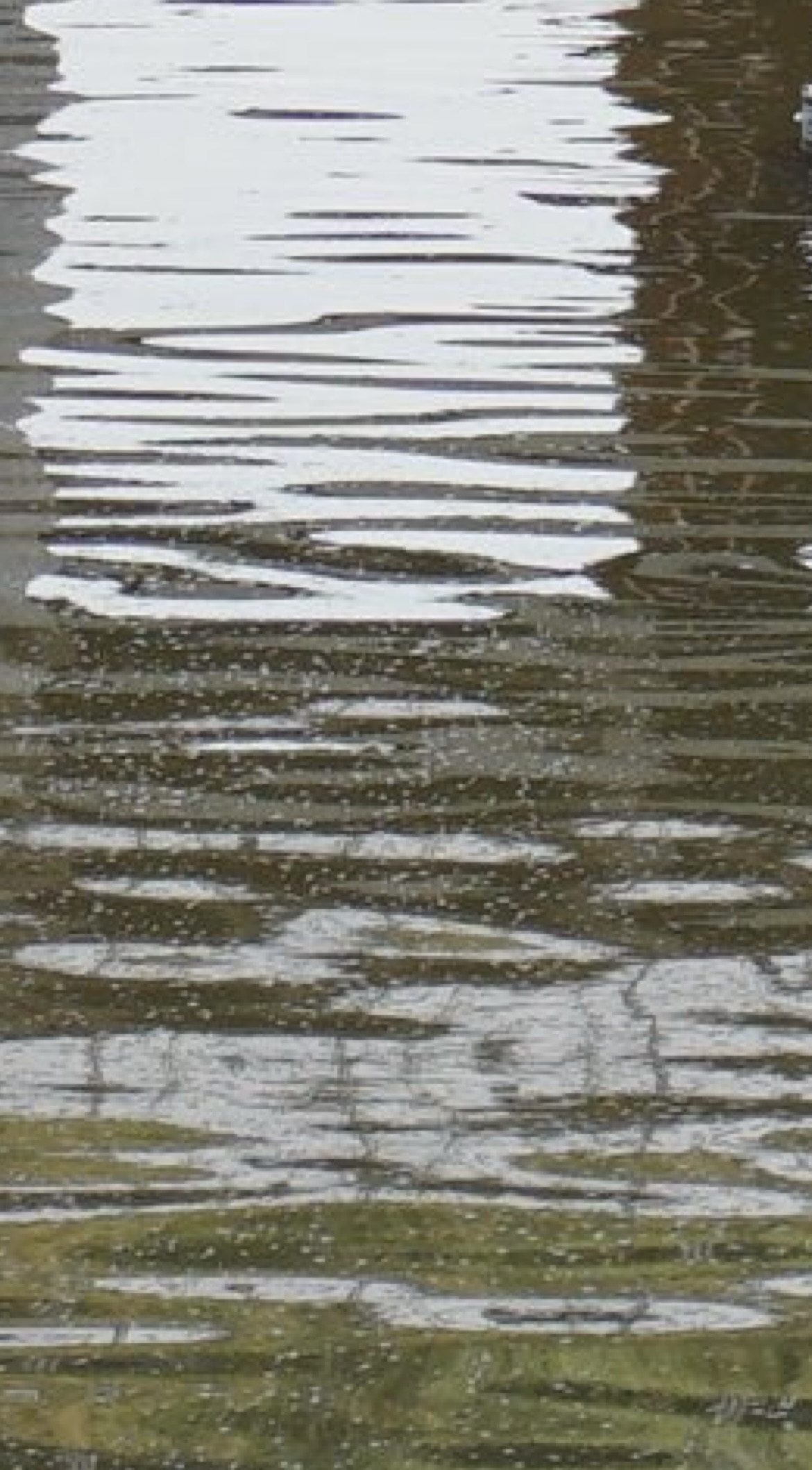 レス47番のサムネイル画像