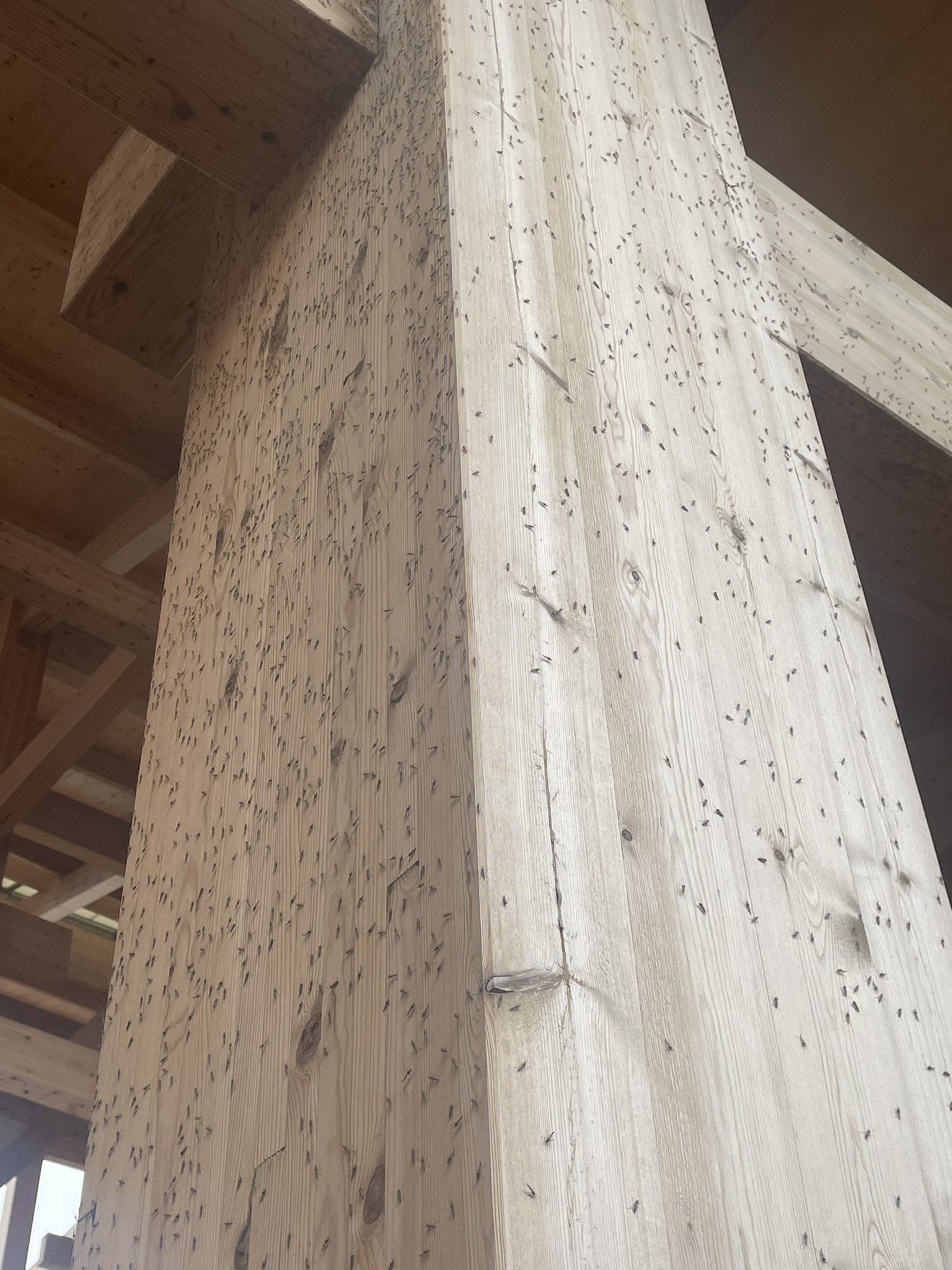 レス1番のサムネイル画像