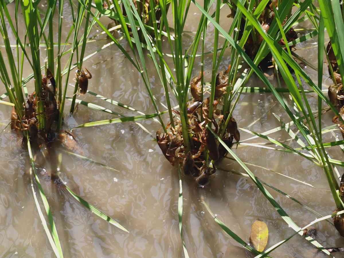 レス1番の画像3