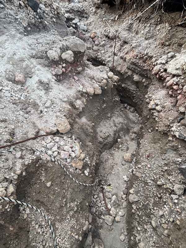 レス7番の画像2