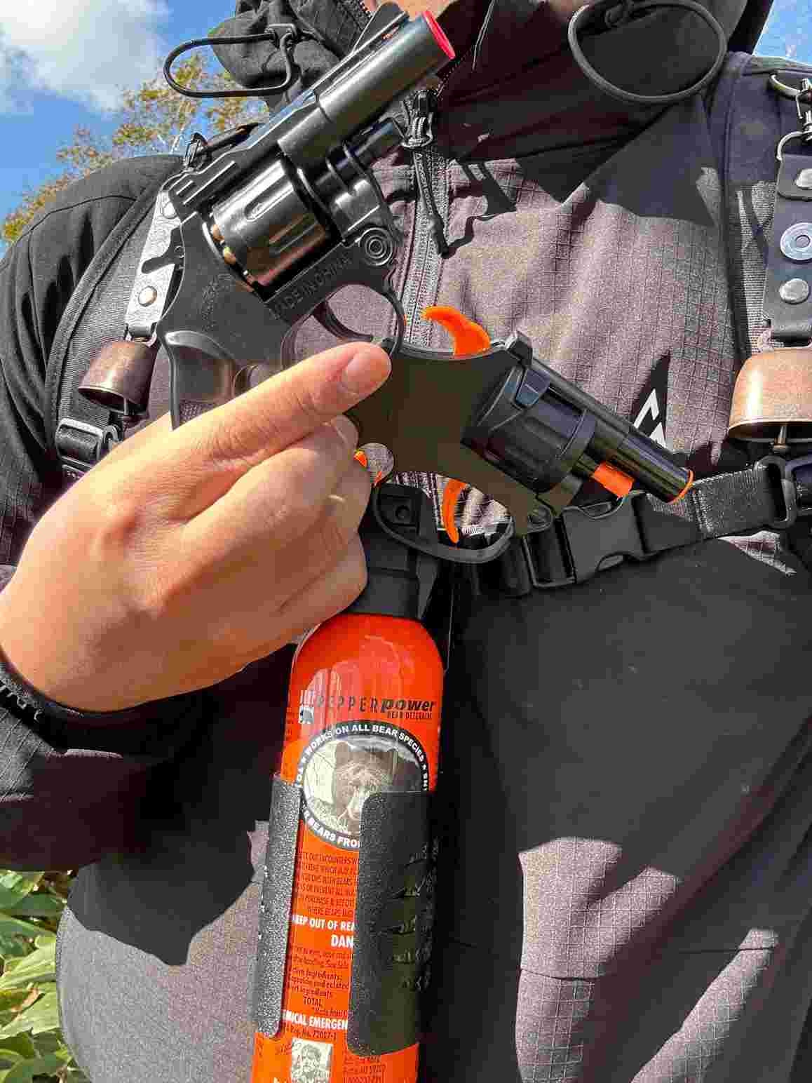 レス16番の画像1