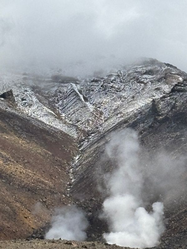 レス19番の画像1