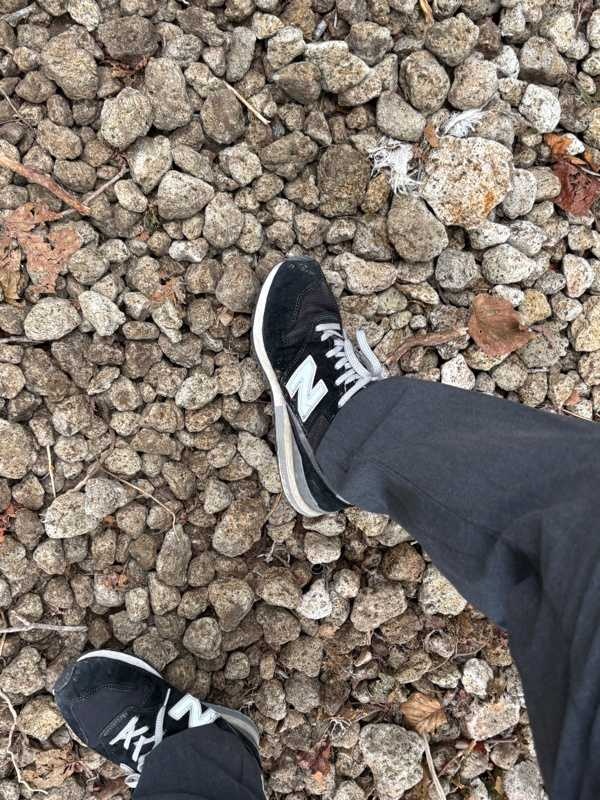 レス7番の画像3