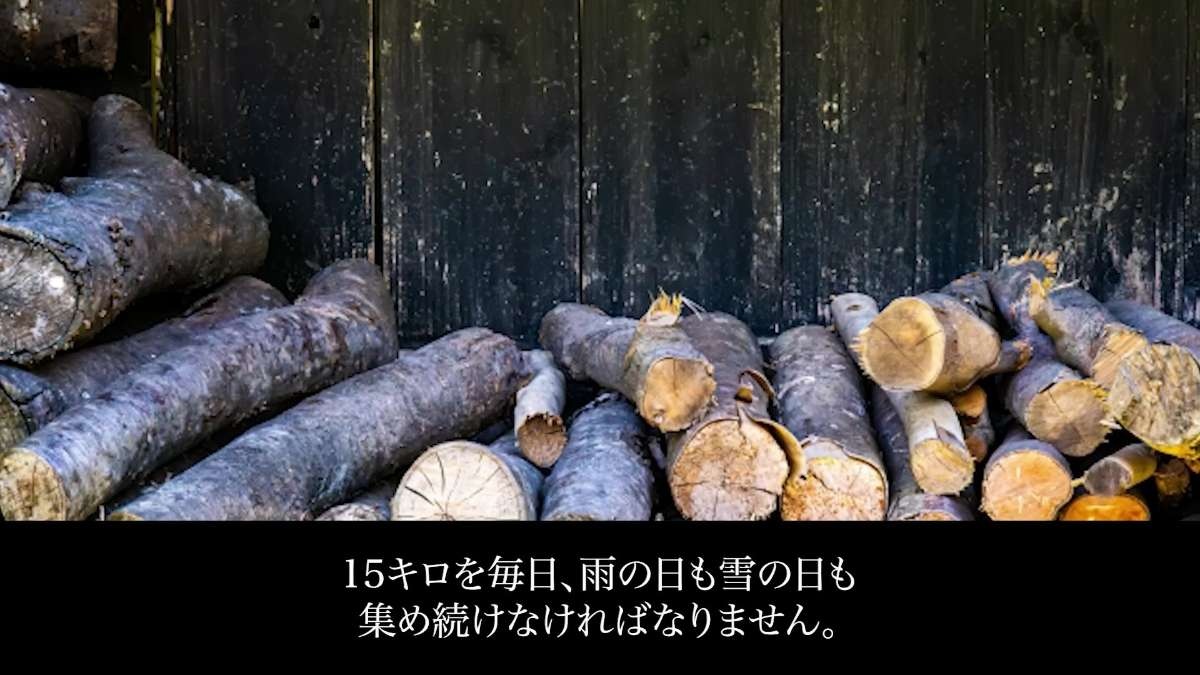 レス3番の画像8