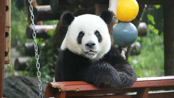 記事サムネイル