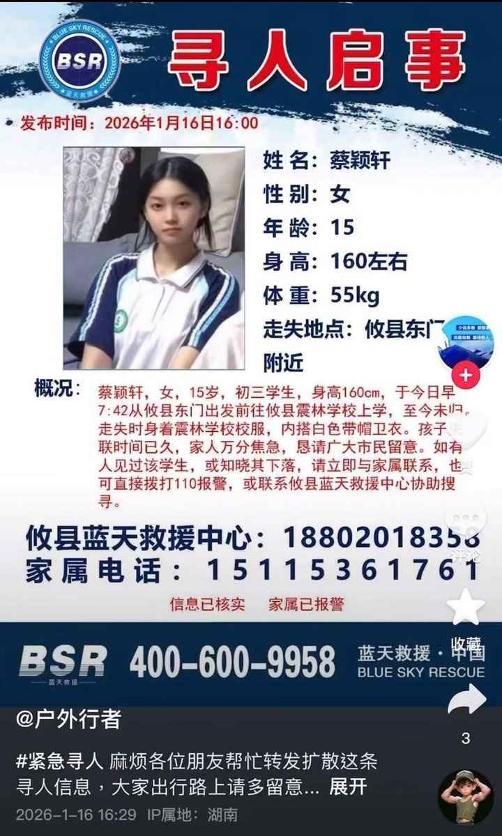 レス13番の画像1